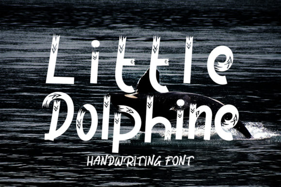 Little Dolphine Font: Joyful Display Type for Creators