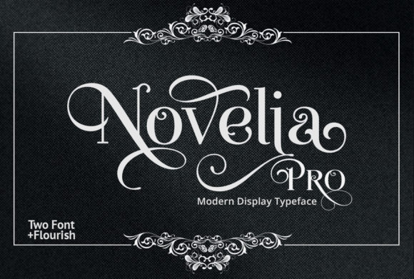 Novelia Pro: The Display Font That Elevates Brand Identity